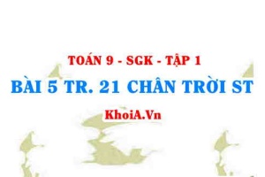 Bài 5 trang 21 Toán 9 Chân trời sáng tạo Tập 1